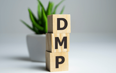 Disease-Management-Programm (DMP)